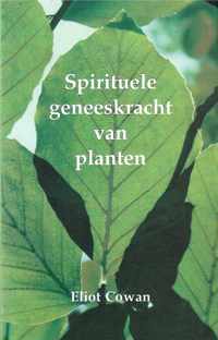 Spirituele geneeskracht van de planten