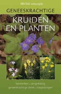 Geneeskrachtige kruiden en planten