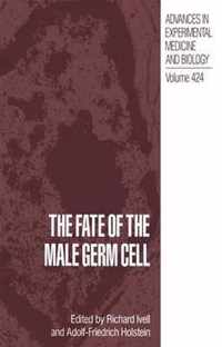 The Fate of the Male Germ Cell