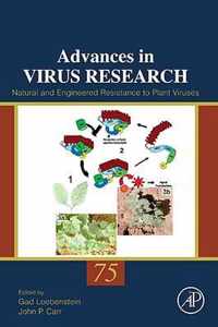 Natural and Engineered Resistance to Plant Viruses