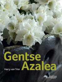 Gentse Azalea