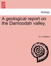 A Geological Report on the Damoodah Valley.