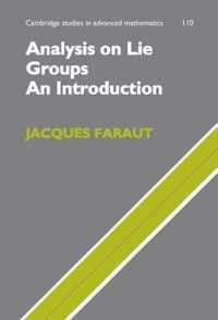 Analysis On Lie Groups