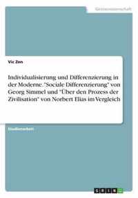 Individualisierung und Differenzierung in der Moderne. Sociale Differenzierung von Georg Simmel und UEber den Prozess der Zivilisation von Norbert Elias im Vergleich