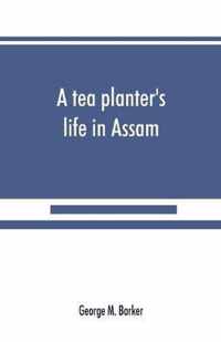 A tea planter's life in Assam