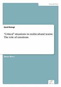 Critical situations in multicultural teams