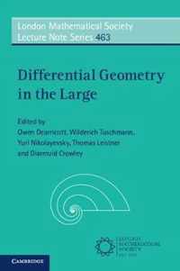 Differential Geometry in the Large