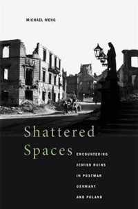 Shattered Spaces