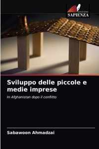 Sviluppo delle piccole e medie imprese