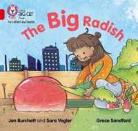 Collins Big Cat Phonics for Letters and Sounds - The Big Radish