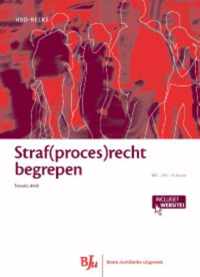 Straf(proces)recht begrepen