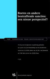 Van vereniging voor bestuursrecht - Boetes en andere bestraffende sancties: een nieuw perspectief?