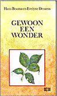 Gewoon Een Wonder