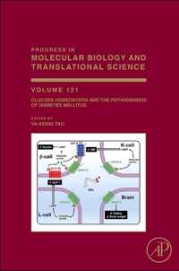 Glucose Homeostatis and the Pathogenesis of Diabetes Mellitus