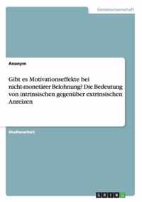 Gibt es Motivationseffekte bei nicht-monetarer Belohnung? Die Bedeutung von intrinsischen gegenuber extrinsischen Anreizen