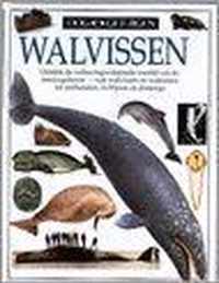 Walvissen