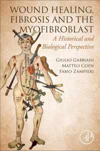 WOUND HEALING, FIBROSIS, AND THE MYOFIBROBLAST