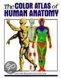 Color Atlas of Human Anatomy