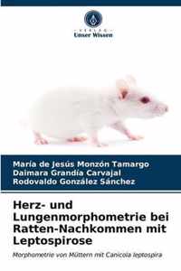 Herz- und Lungenmorphometrie bei Ratten-Nachkommen mit Leptospirose