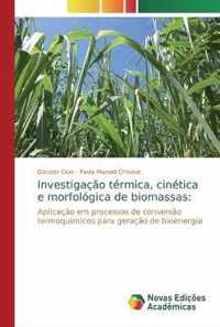 Investigacao termica, cinetica e morfologica de biomassas