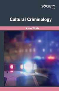 Cultural Criminology