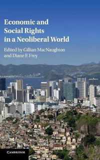 Economic and Social Rights in a Neoliberal World