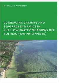 Burrowing Shrimps and Seagrass Dynamics in Shallow-Water Meadows off Bolinao (New Philippines)