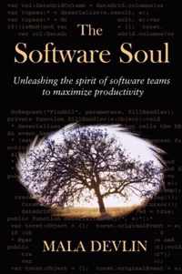 The Software Soul