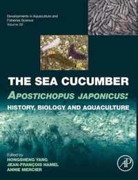 Sea Cucumber Apostichopus Japonicus 39