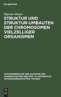 Struktur und Struktur-umbauten der Chromosomen vielzelliger Organismen