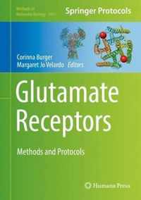 Glutamate Receptors