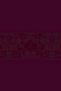 The Passion Translation New Testament with Psalms Proverbs and Song of Songs (2020 Edn) Large Print Burgundy Faux Leather