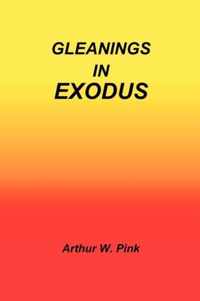 Gleanings in Exodus