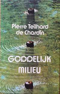 Goddelyke milieu