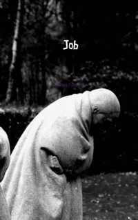 Job - Henk Fonteyn - Paperback (9789402116830)