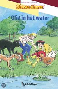 Olie In Het Water