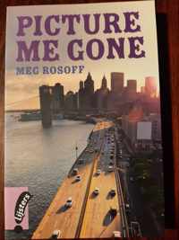 Meg Rosoff, Picture Me Gone