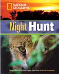 Night Hunt