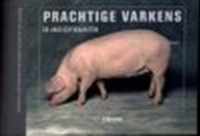 Prachtige varkens