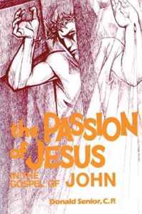 The Passion of Jesus in the Gospel of John