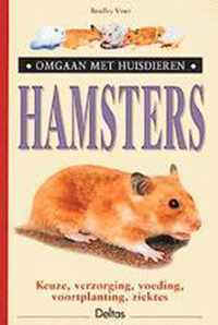 Hamsters Omgaan Met Huisdieren