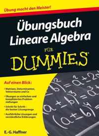 UEbungsbuch Lineare Algebra fur Dummies