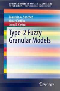 Type 2 Fuzzy Granular Models