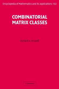 Combinatorial Matrix Classes