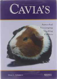 Cavia's