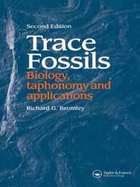 Trace Fossils