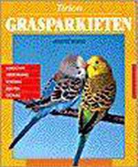 Grasparkieten