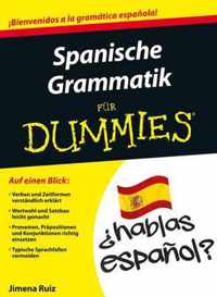 Spanische Grammatik fur Dummies