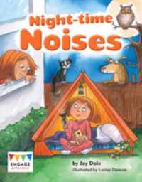 Night Time Noises