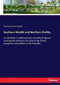 Southern Wealth and Northern Profits,